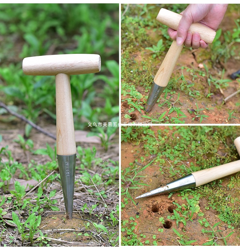 11085841445_609782515