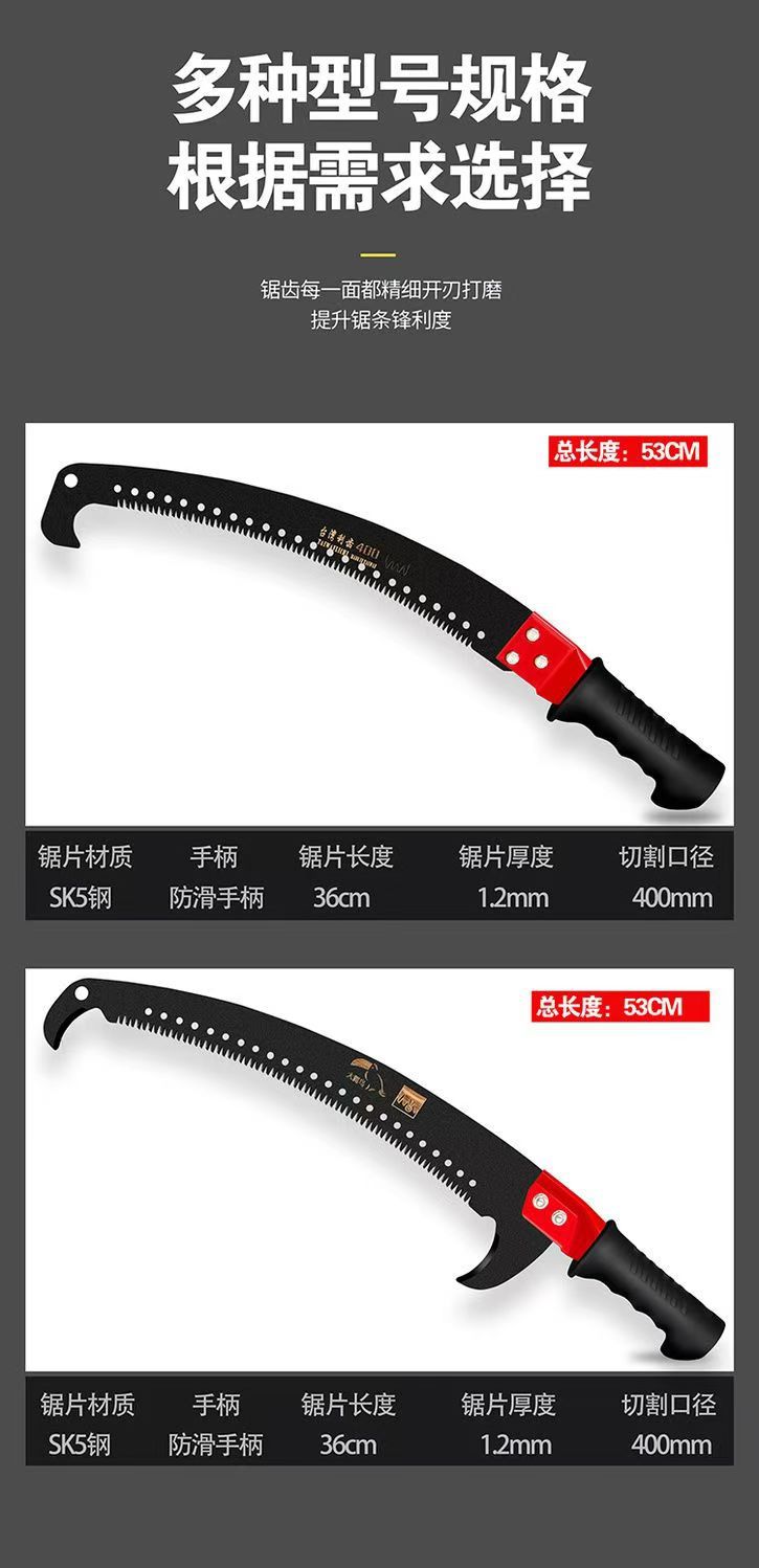 微信图片_20241004134315