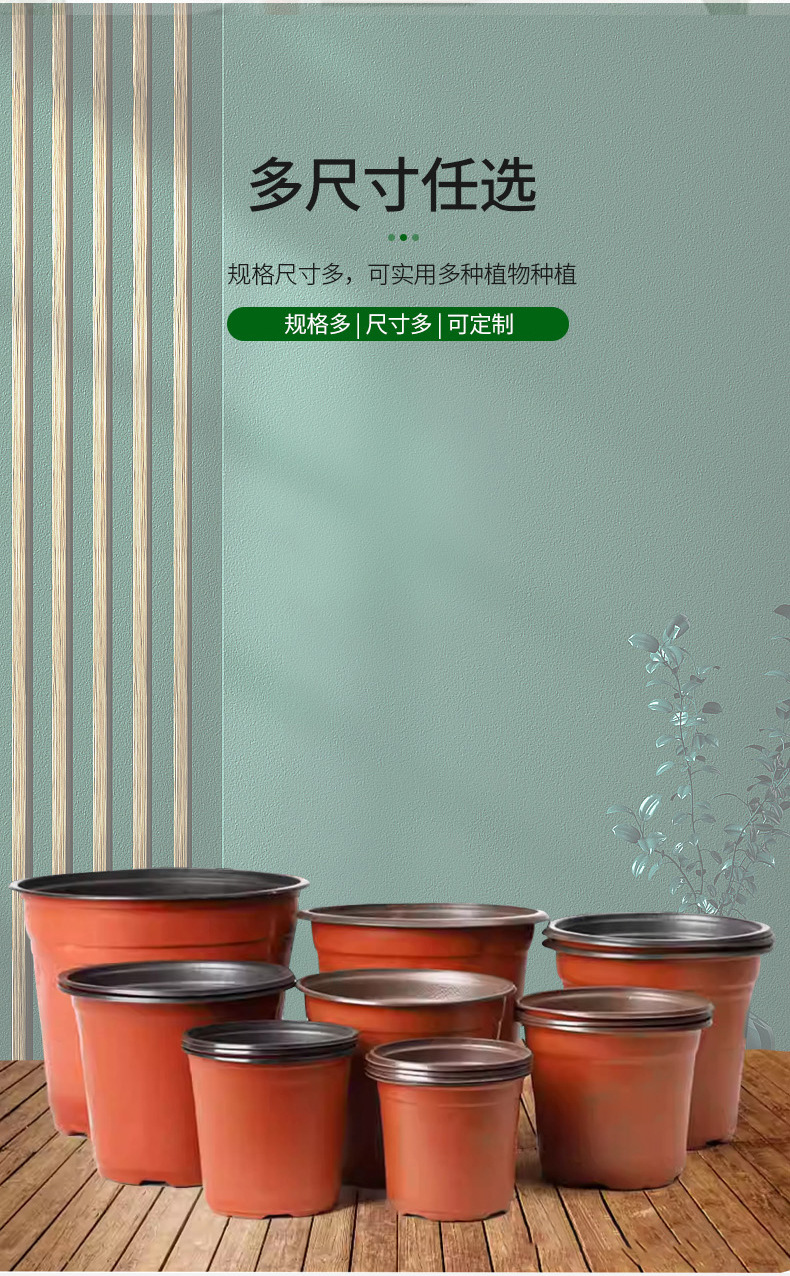 双色育苗盆,批发透气绿萝多肉花卉塑料花盆,加厚圆形双色pp塑料花盆