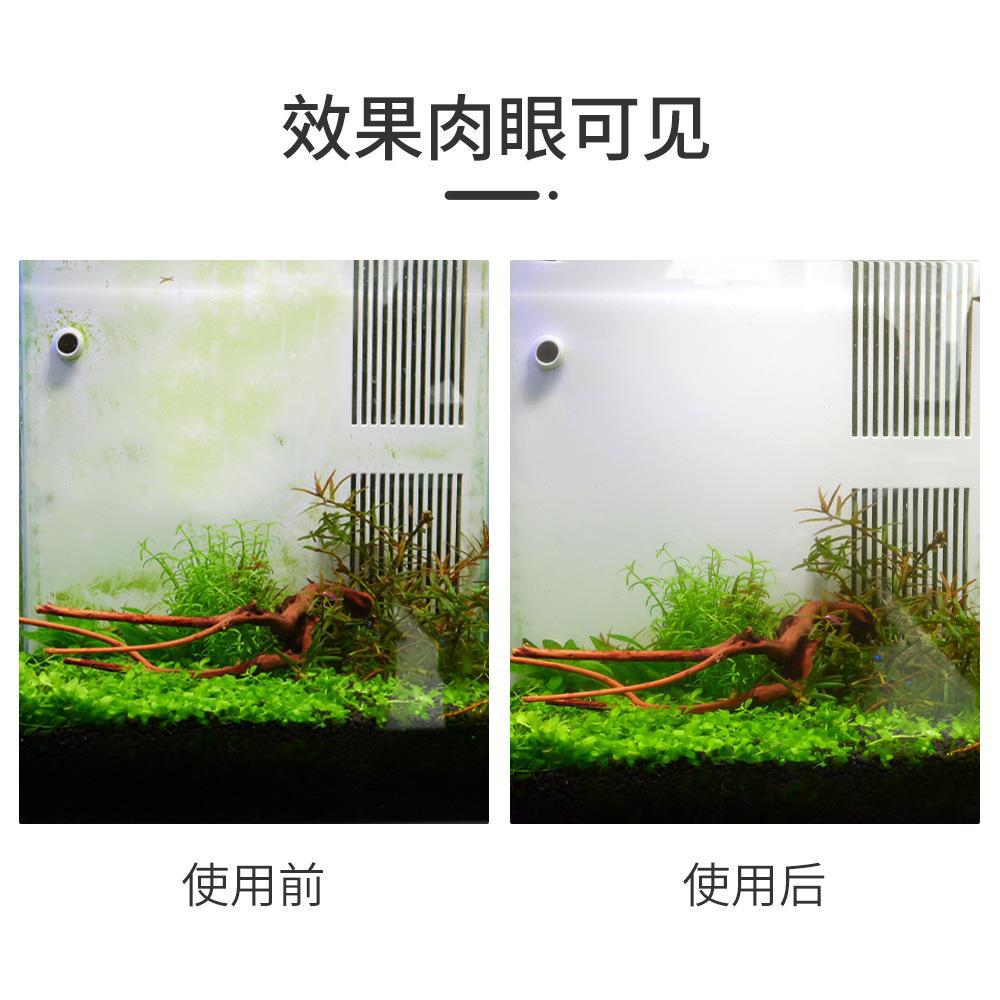 858259392564mf9891b30-1906-41a