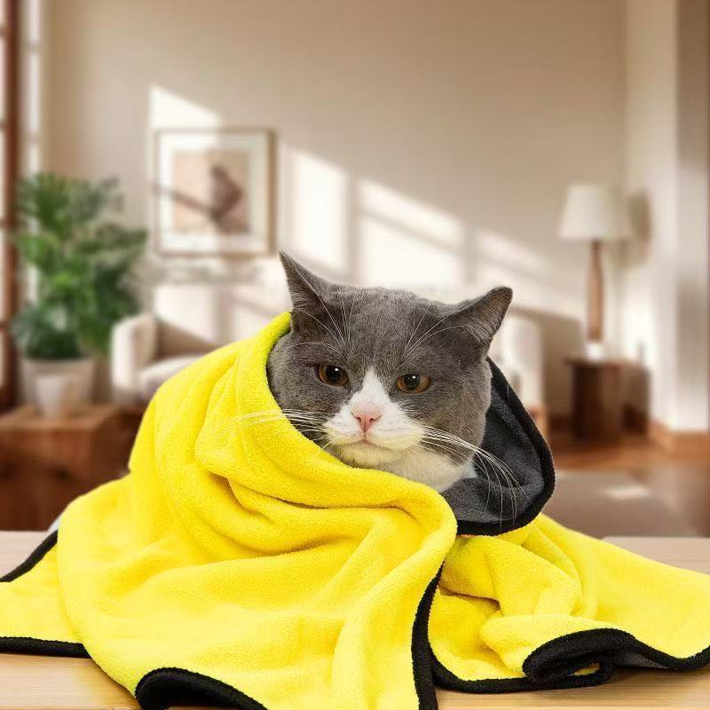 8b850755-5ec5-4faa-837d-42ae03943788.jpe