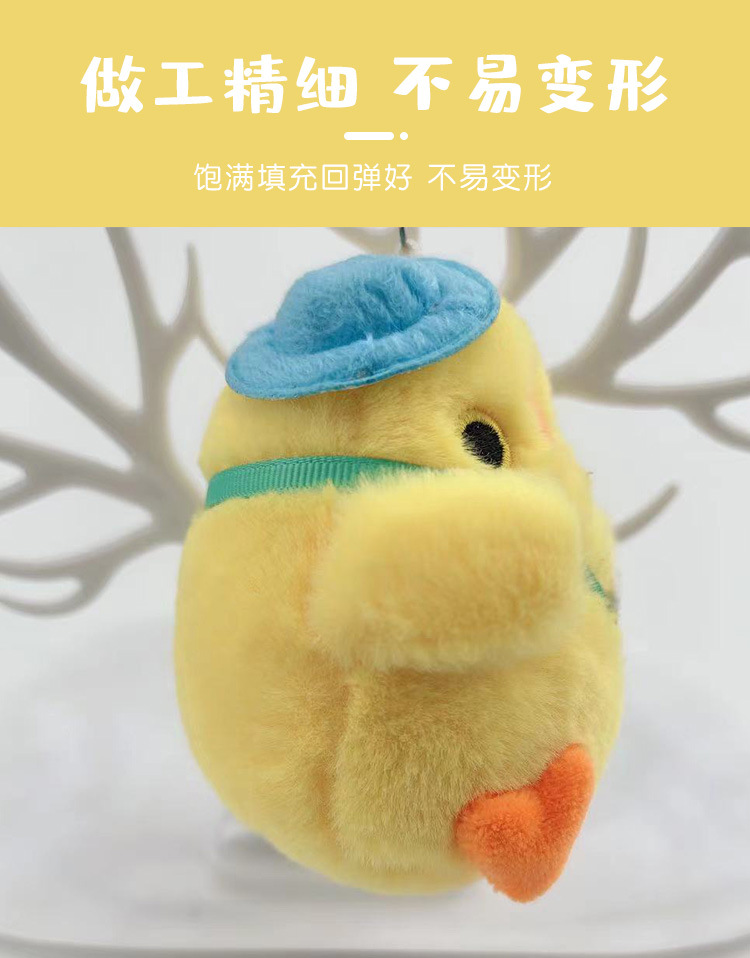15-网红小鸡_06.jpg