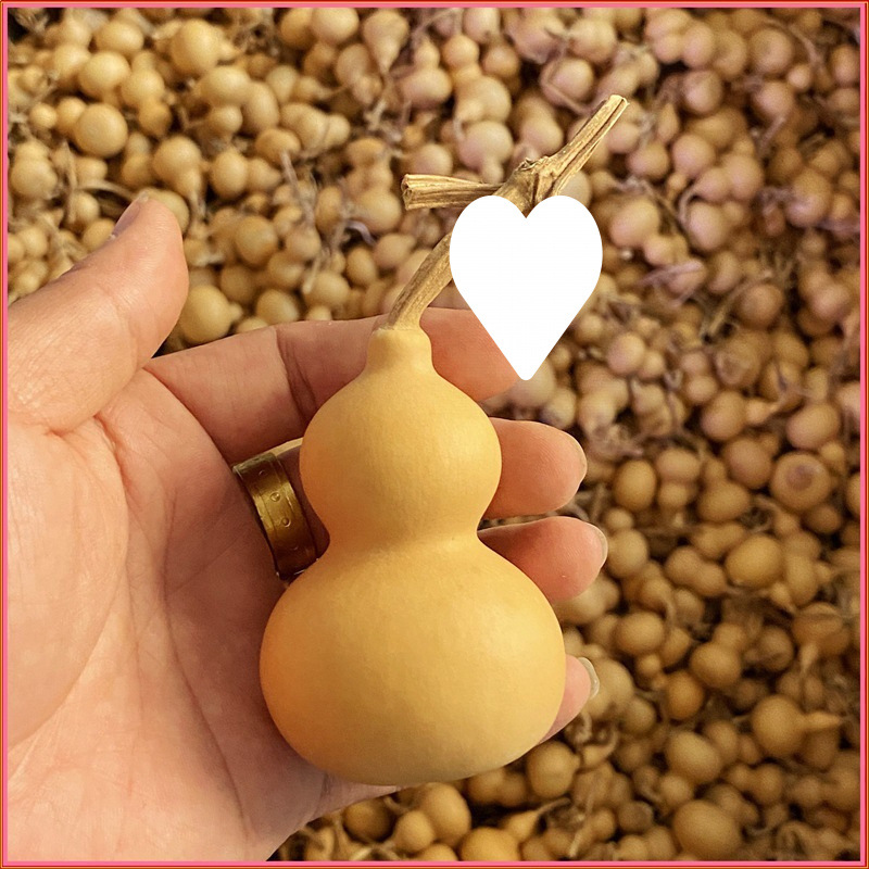 O1CN01oyyoYY1wQN1Bcxart_!!2218837026302-