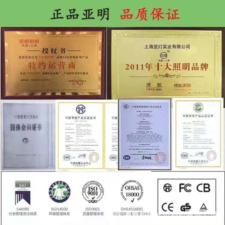 webp (13).jpg