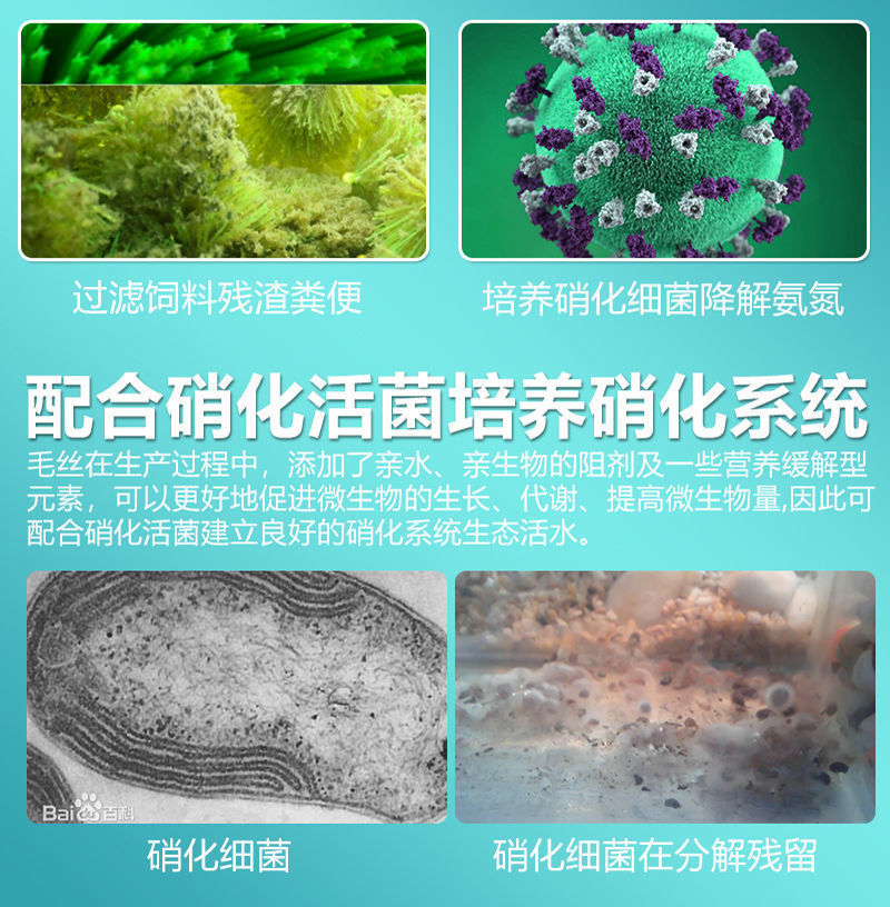 288744ab-ee70-4529-8857-8c88c0b8721a.jpe