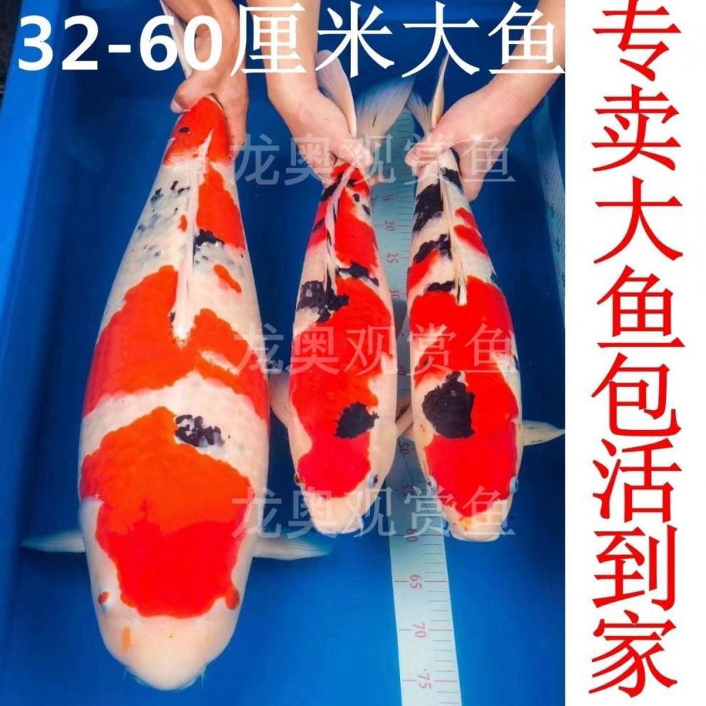 b9aeb03b-fbba-4930-ace9-35fe6a30db9e.jpe