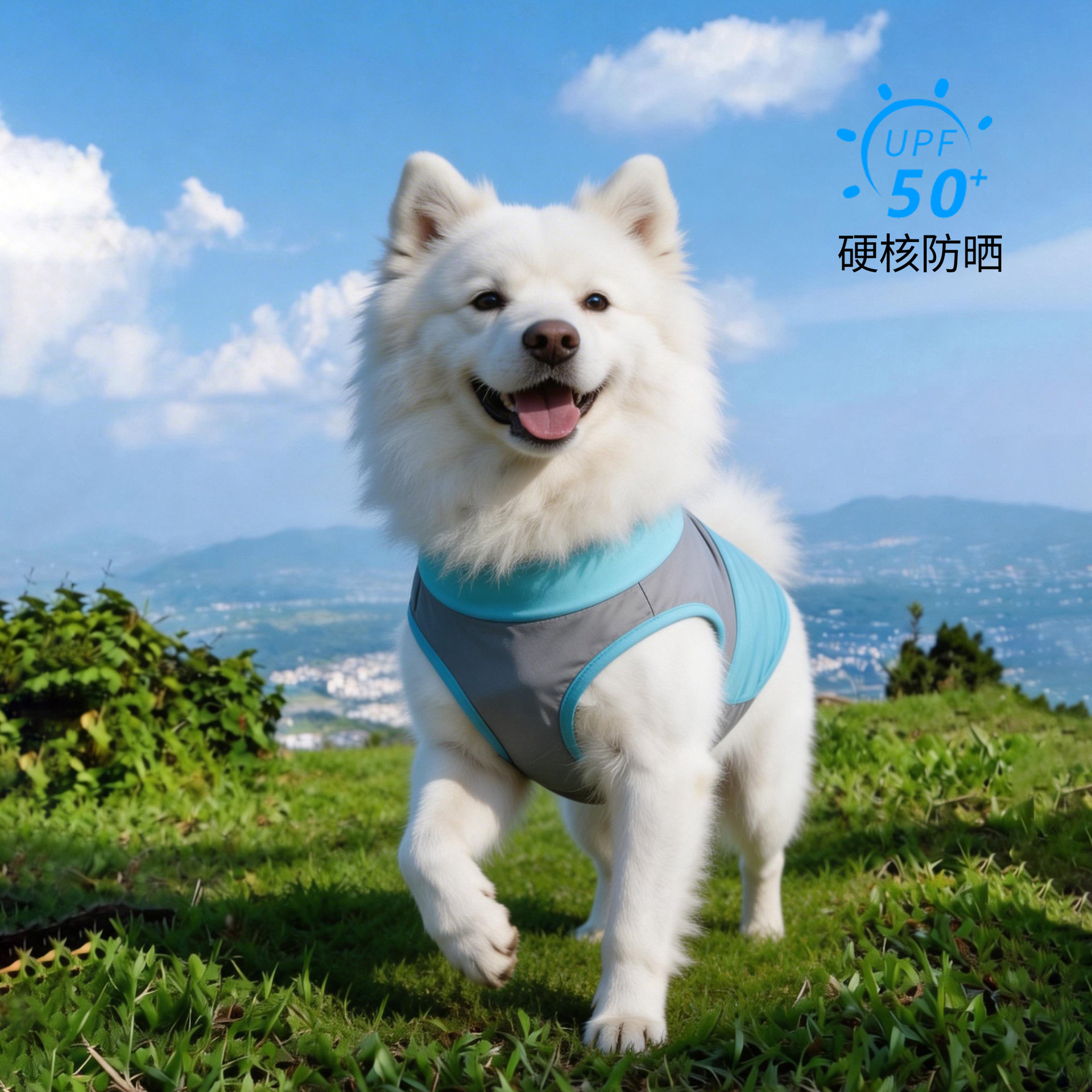 微信图片_20260326151959_4346_43