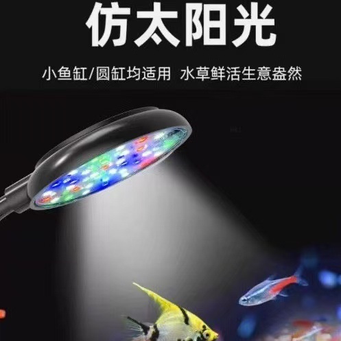 7c56a435-f95e-49a2-b89e-a0a7ed1cf29c.jpe