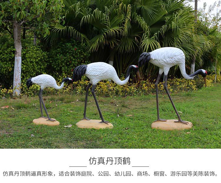 丹顶鹤新_11.jpg