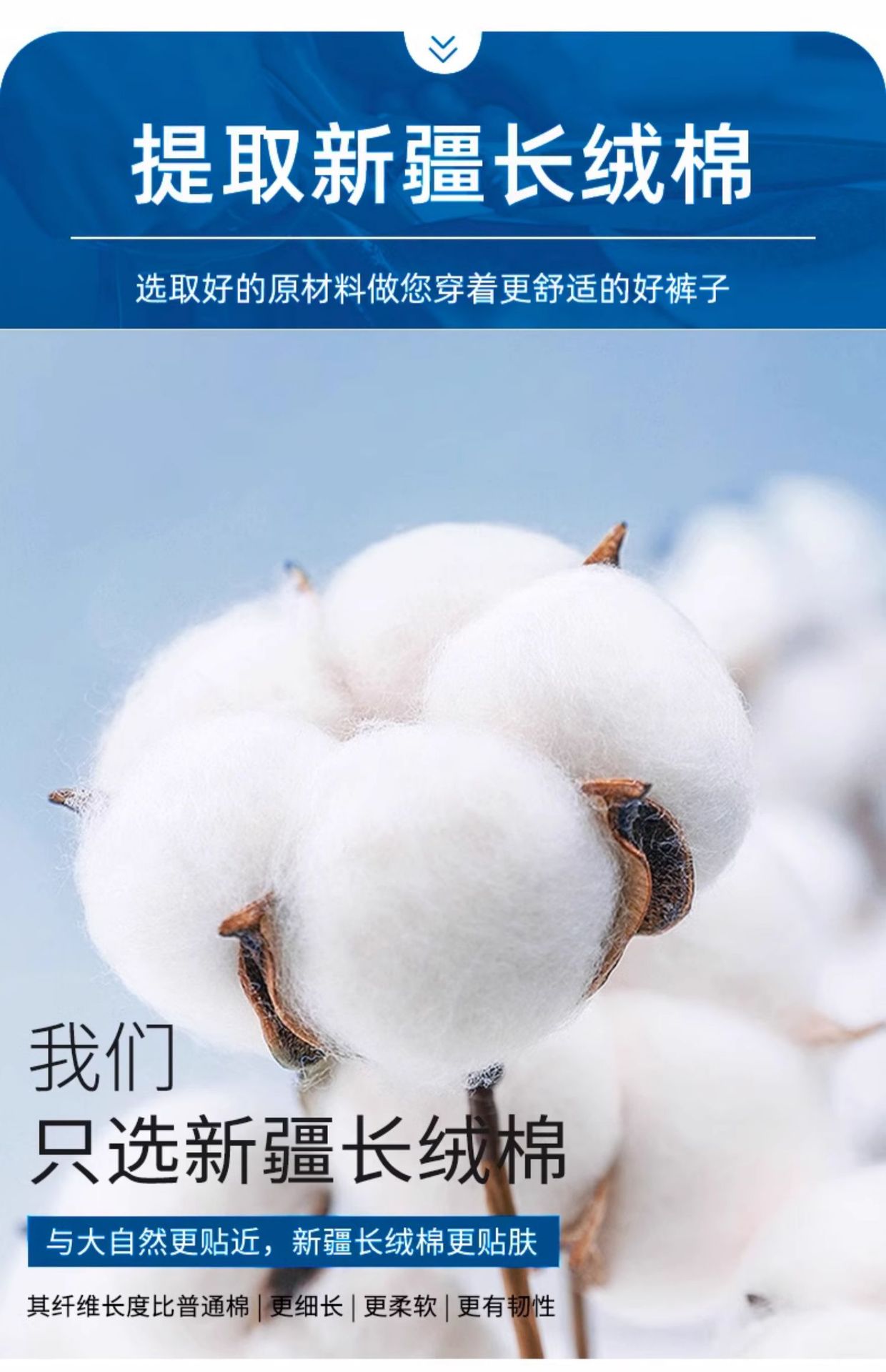 851198449956df0198e87-5de5-4fd