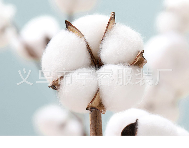 详情06-_09.jpg