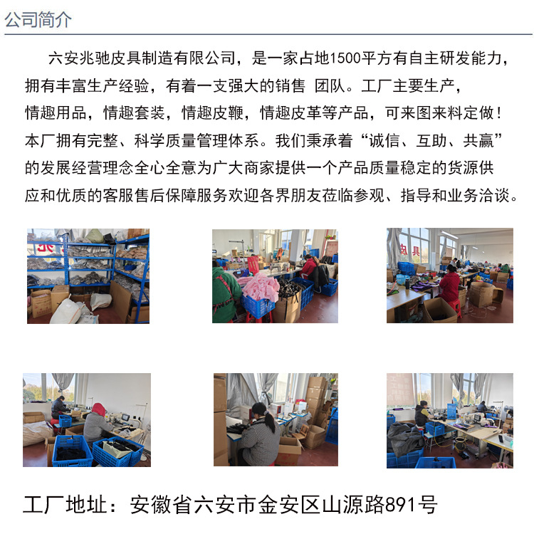 公司介绍