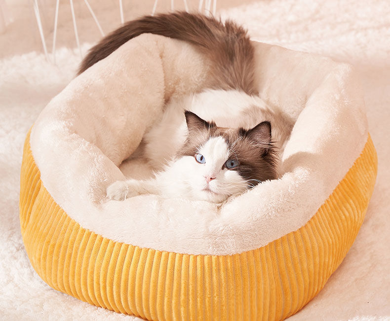 ace679e4-f3a9-4dad-b334-01aa85a9c7db.jpe