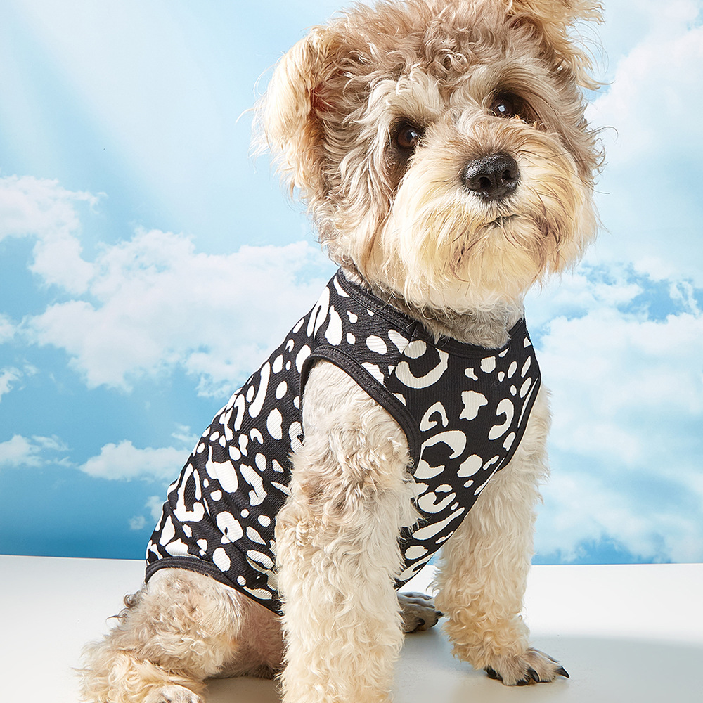 欧康宠物 狗衣服 猫衣服