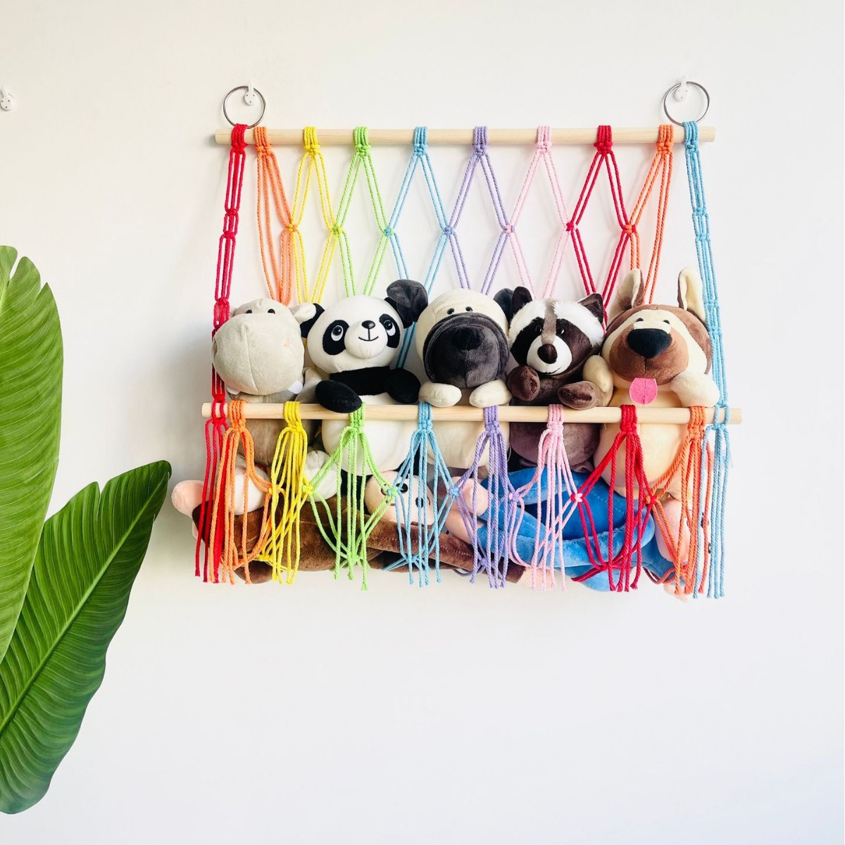 2024-01-07 18:27:33.jpg