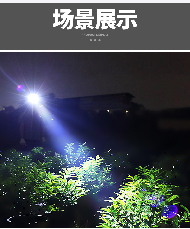 描述图_9.jpg