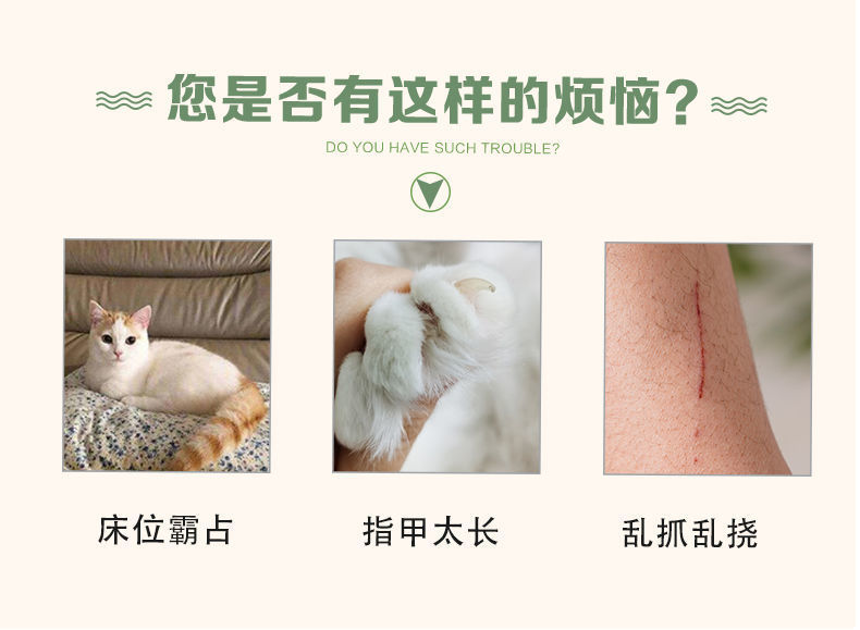 36f0afae-036b-4276-a4c0-8997f23b80d8.jpe