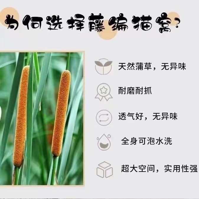 e77f41db-fc7b-439f-a4d9-679b485a7d48.jpe