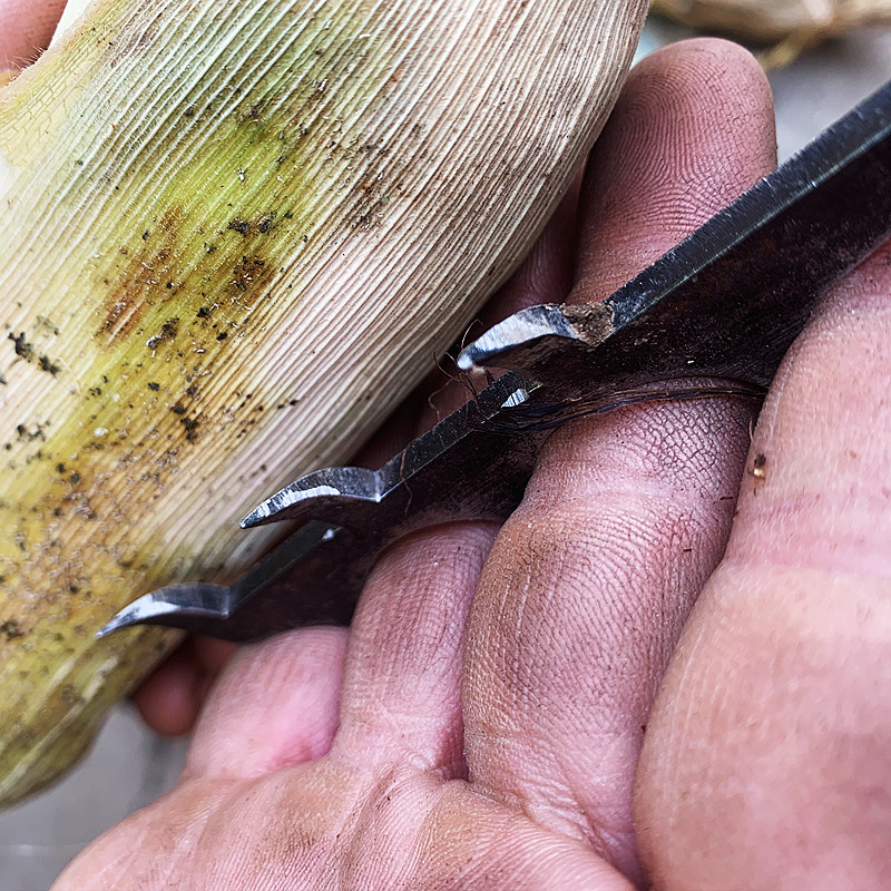 微信图片_20210908182335_副本