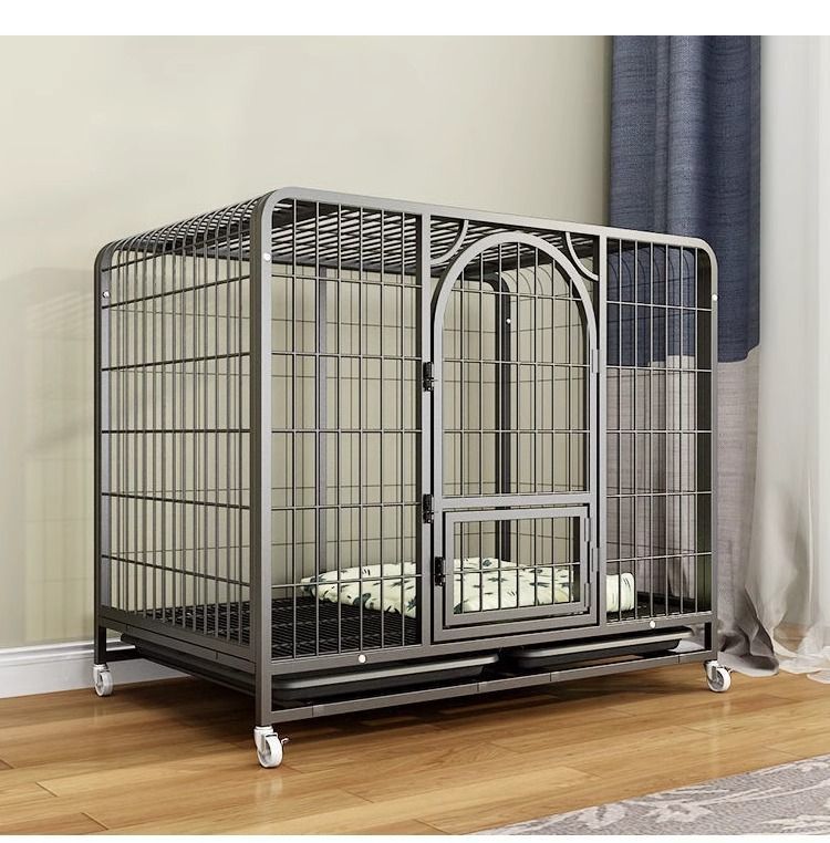 c8406416-8127-47dd-a761-5a49383fd9e5.jpe