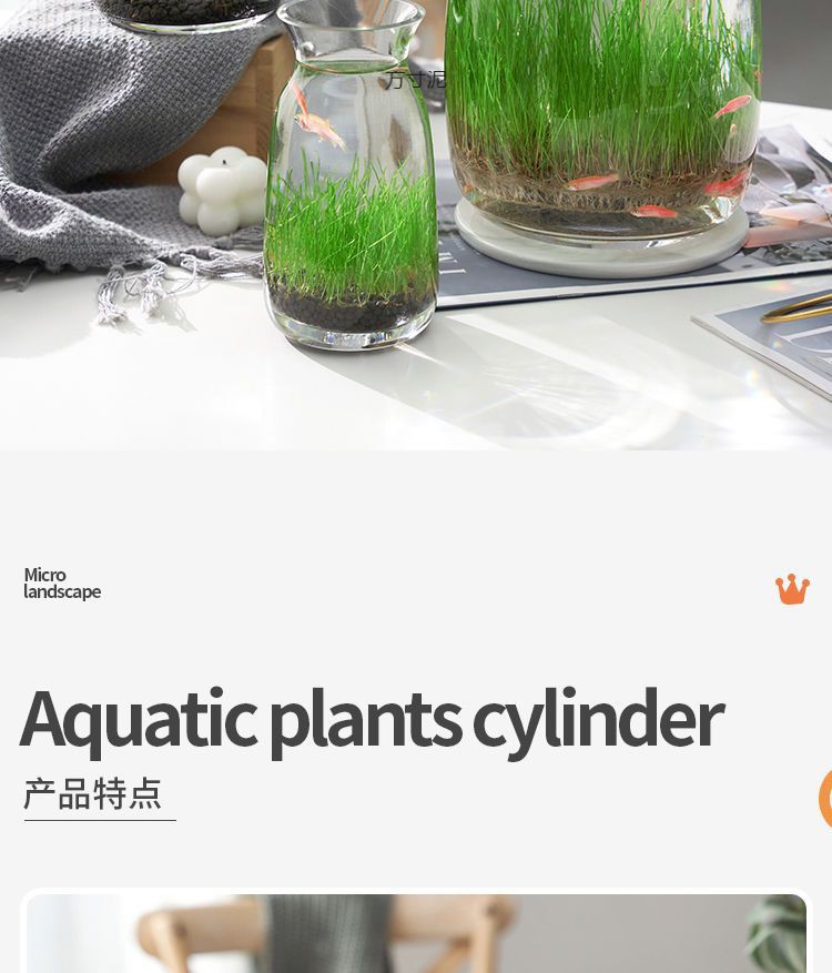 5625e104-8991-432e-8194-d72ee58efcf5.jpe