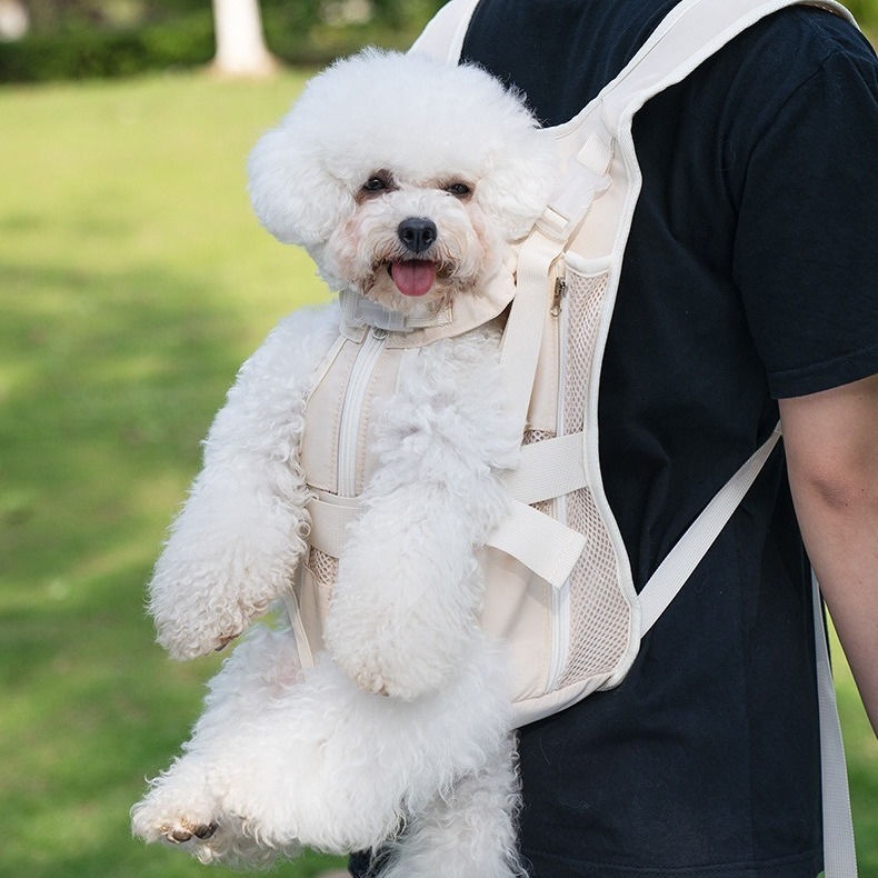 e5b85b9a-d0d9-41e9-880b-81aa86965503.jpe