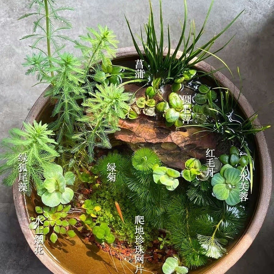 0ef0ed0c-1431-4baa-a687-f0fd8f716306.jpe