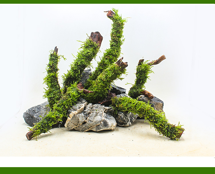 莫斯沉木条详情页 (8).jpg