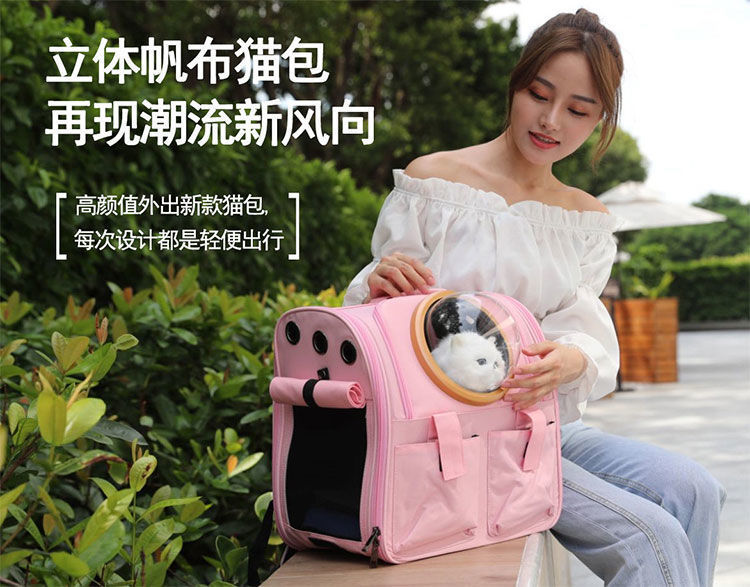 20e37e59-1e1a-47e2-8140-ba95fbc7499a.jpe