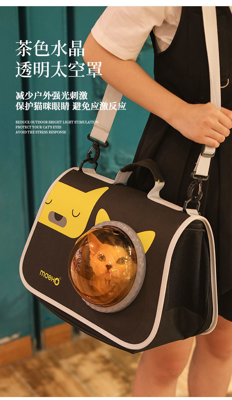 20a8290d-3b73-4a1e-8cd7-d12147f40f9c.jpe