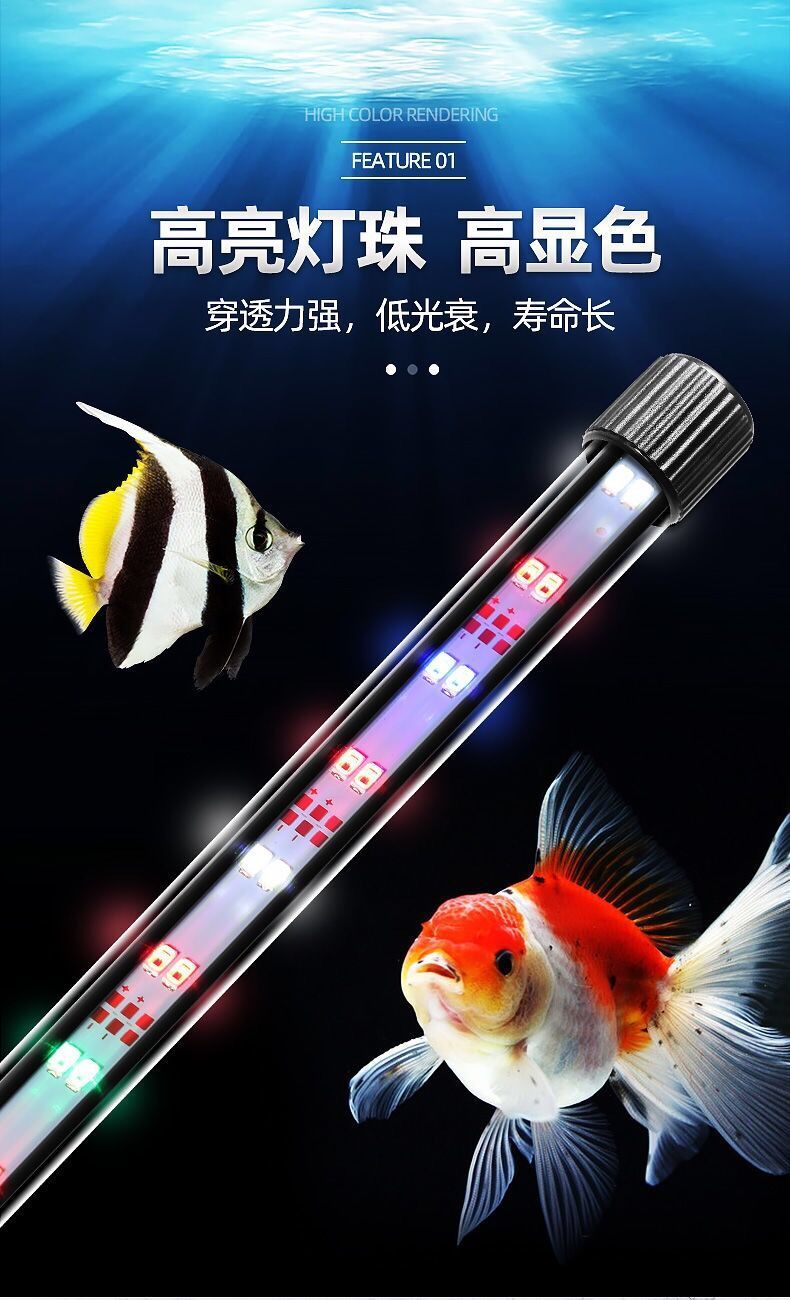 30cbb684-020e-4274-9560-7b8e1f708675.jpe