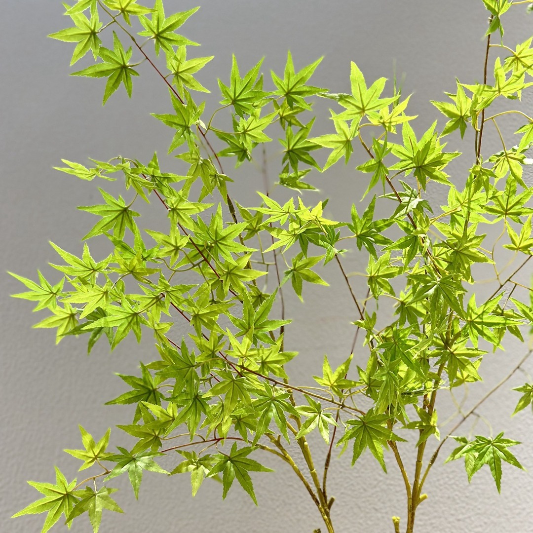 2024-04-29 11:00:05.jpg