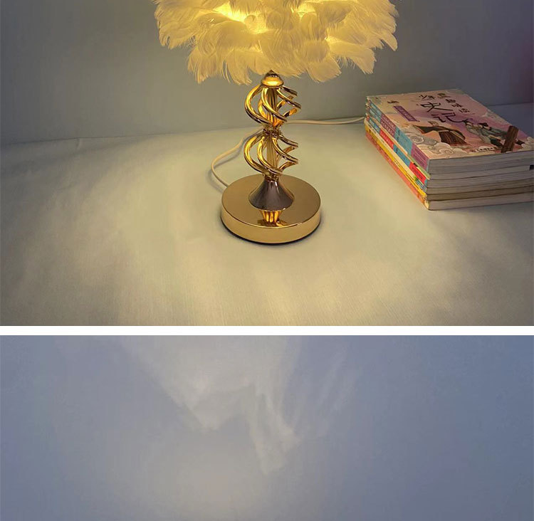 T6002羽毛台灯详情图_03.jpg