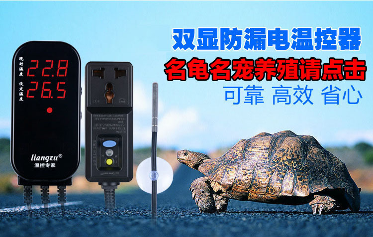 一键复制_20201117090520