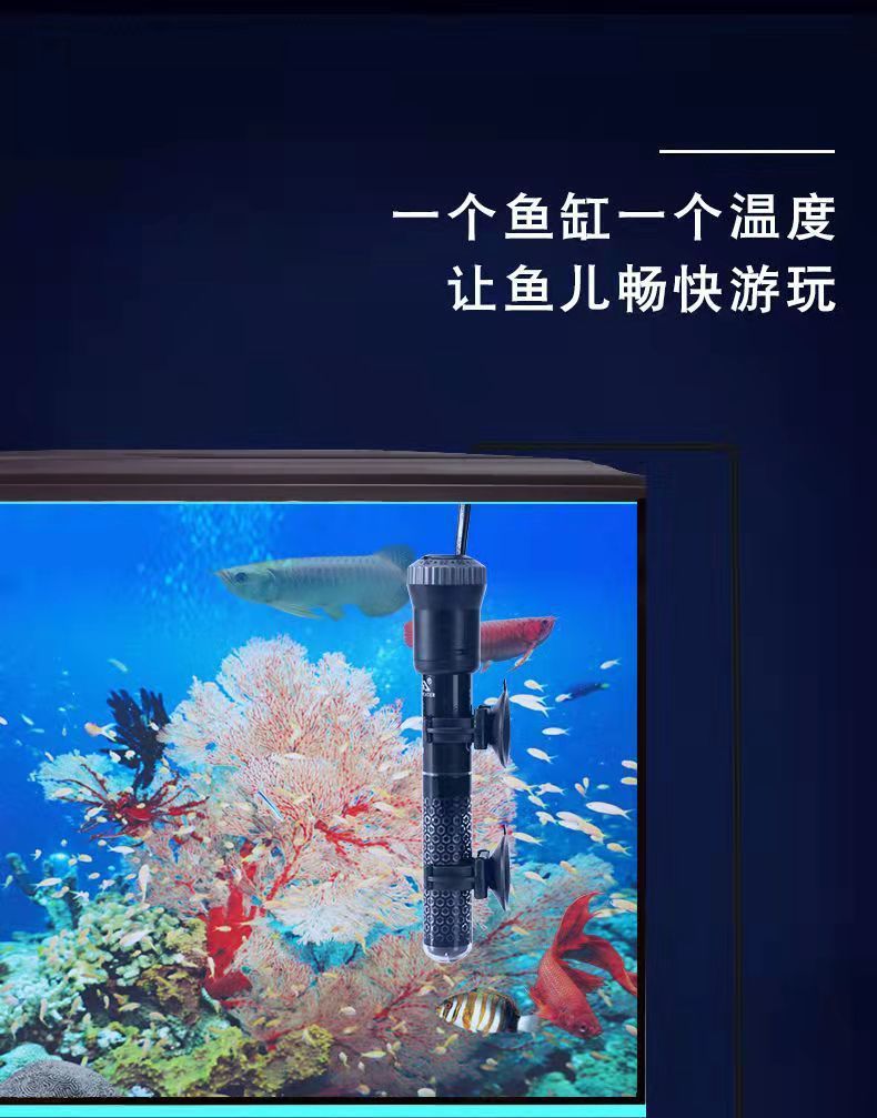b8444689-5268-4c47-9f37-356946ab69fd.jpe