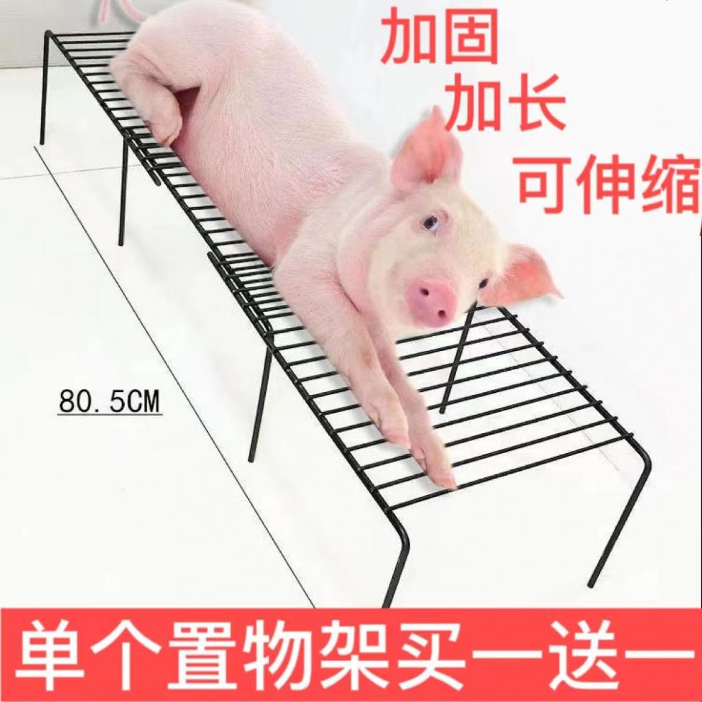 74cc8cf5-d88b-4e26-b007-c8cf8fda4c32.jpe