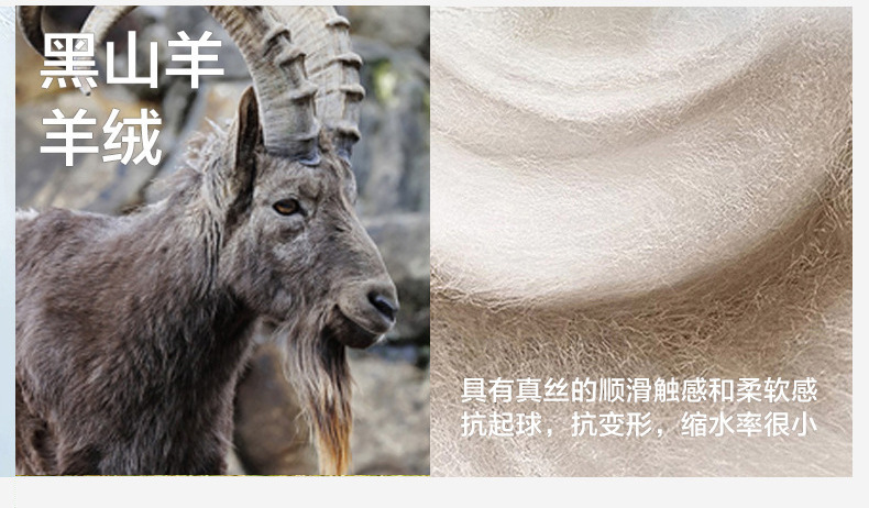 O1CN01zVANVo20hYJdy7jcc_!!2200