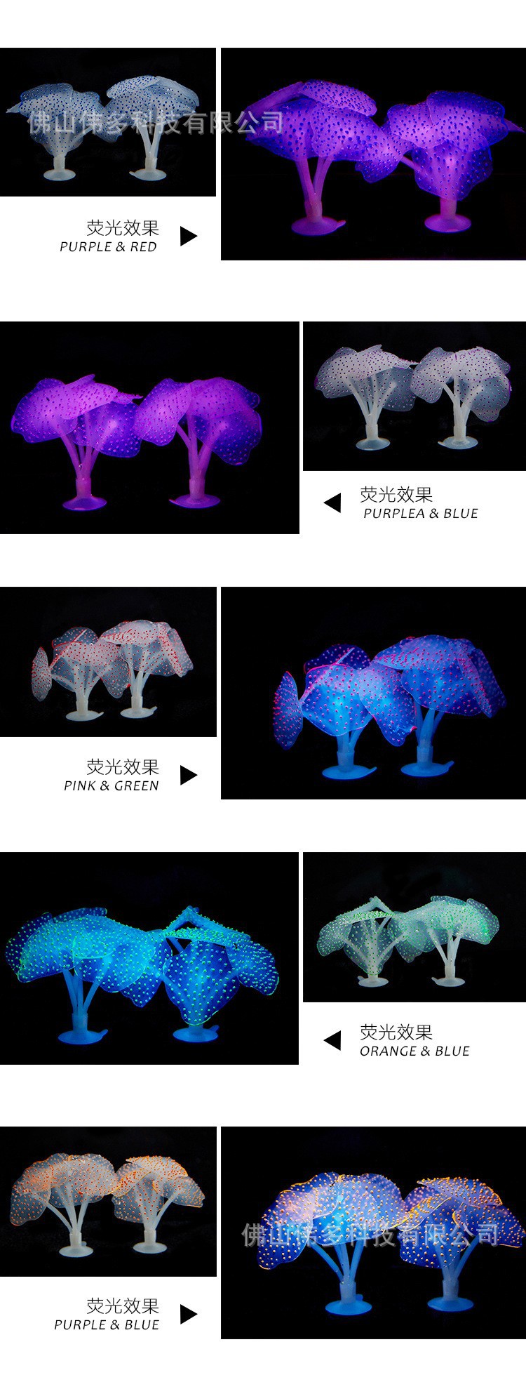 2304273230_1708518238.jpg