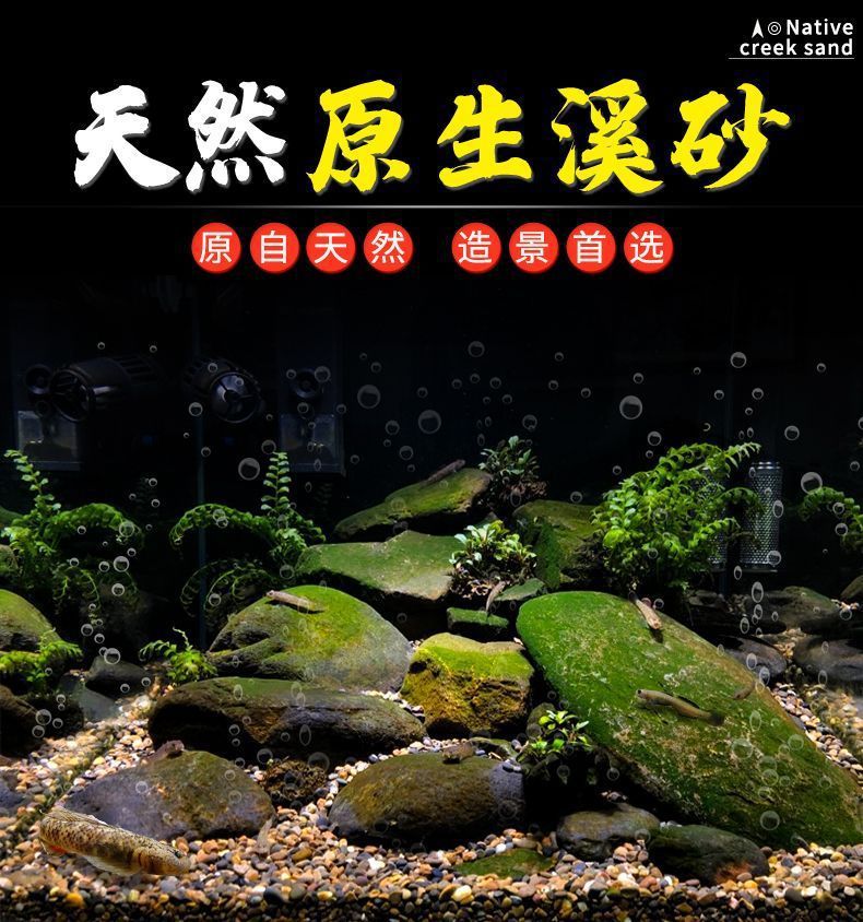 16aa3c40-5e9c-4a37-9670-cf7e6f347eee.jpe