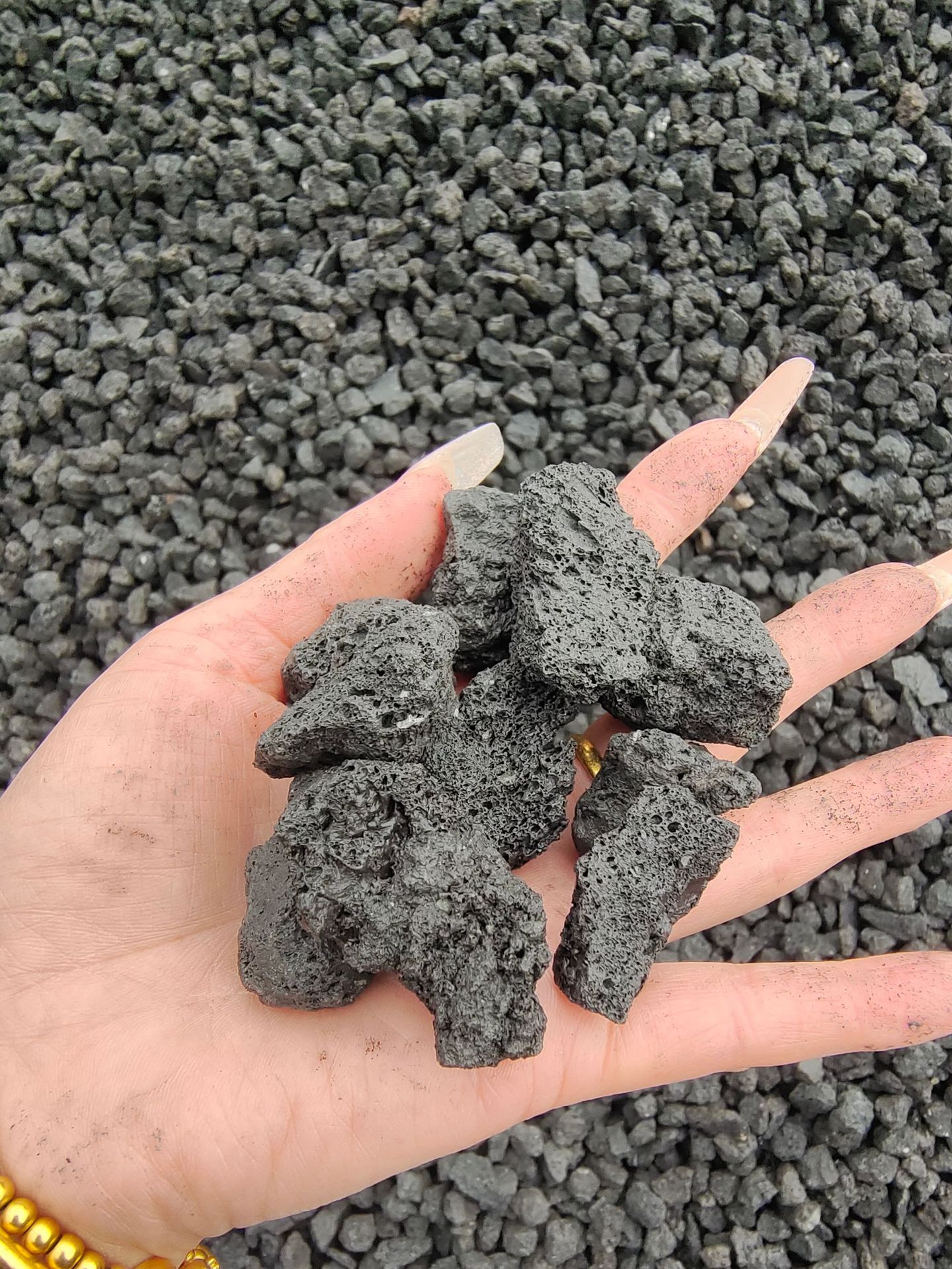 微信图片_20250218084427