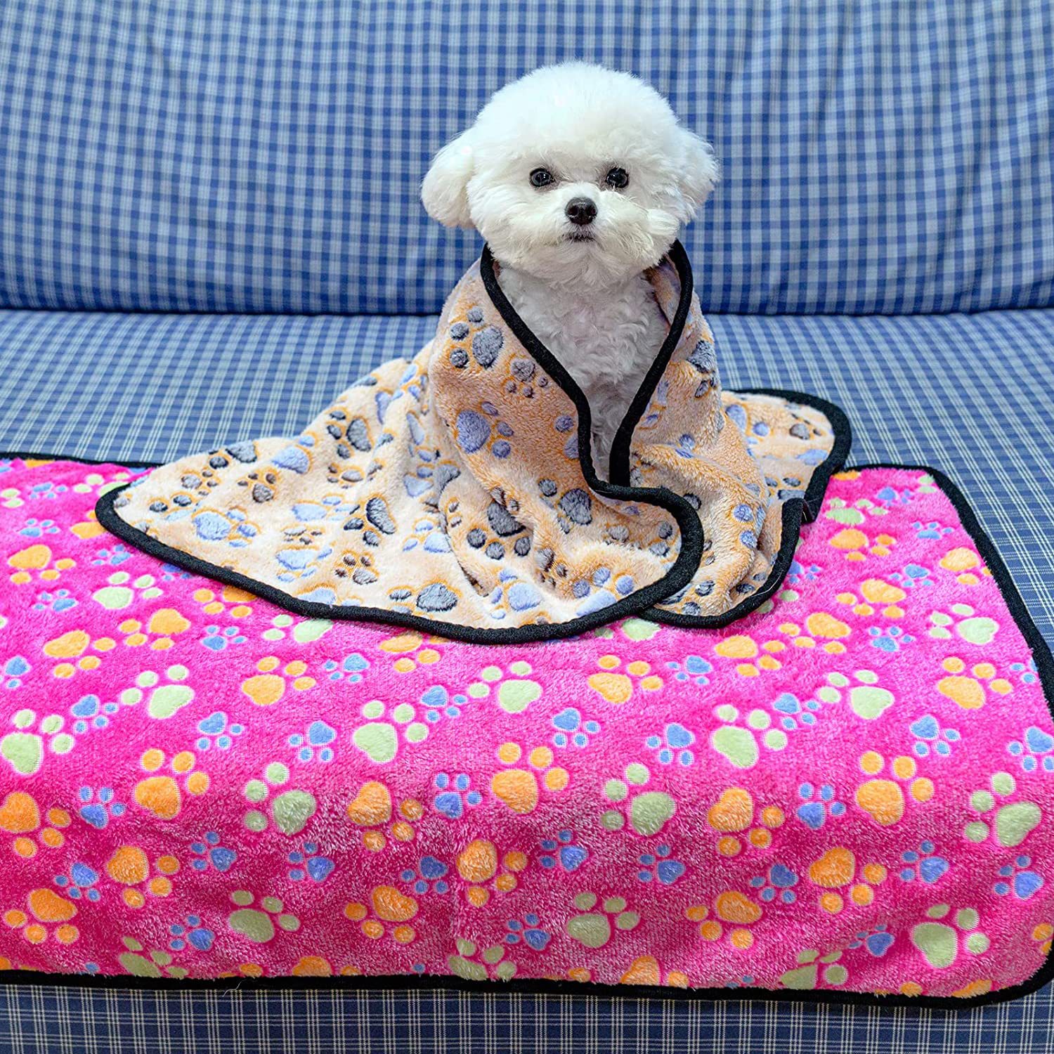 91d0TT1w8cL._AC_SL1500_