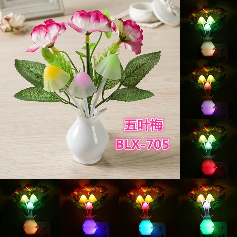 QQ图片20190507025553