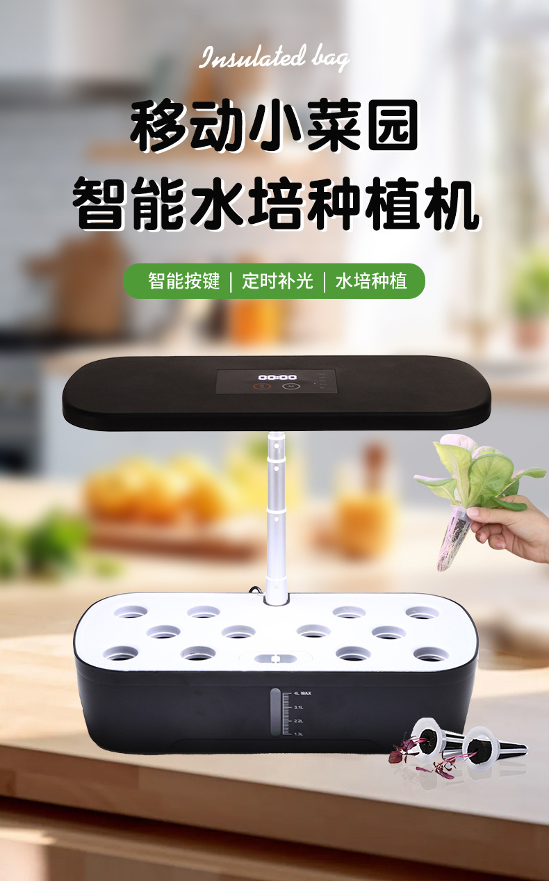 12孔带显示器_01