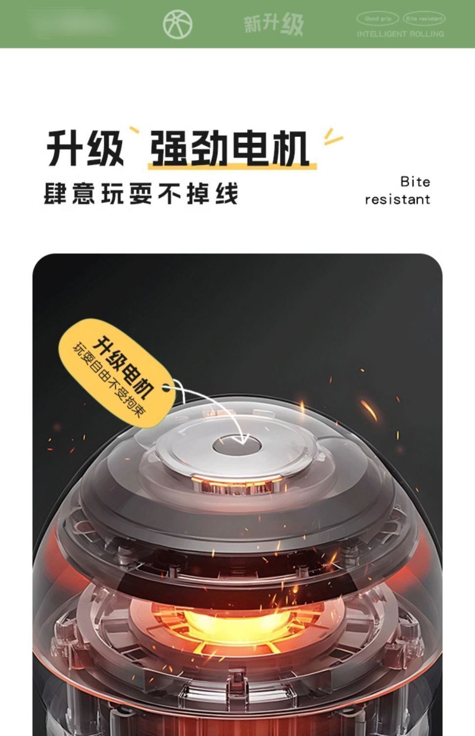 9a426de1-fc56-426f-b20a-9a9ddc2fbafe.jpe