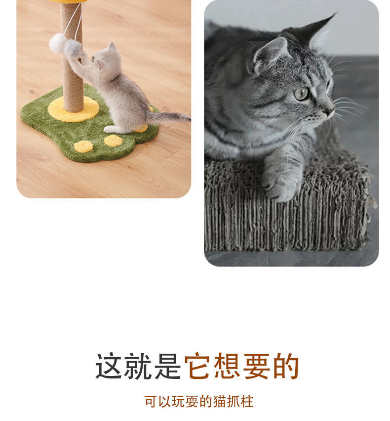 adc7bcbe-23b3-4e79-bf28-f50078e6e5d2.jpe