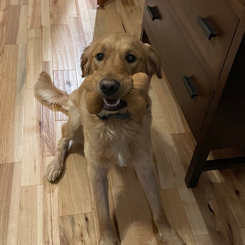 2439c6ea-b000-4060-845b-0d863f