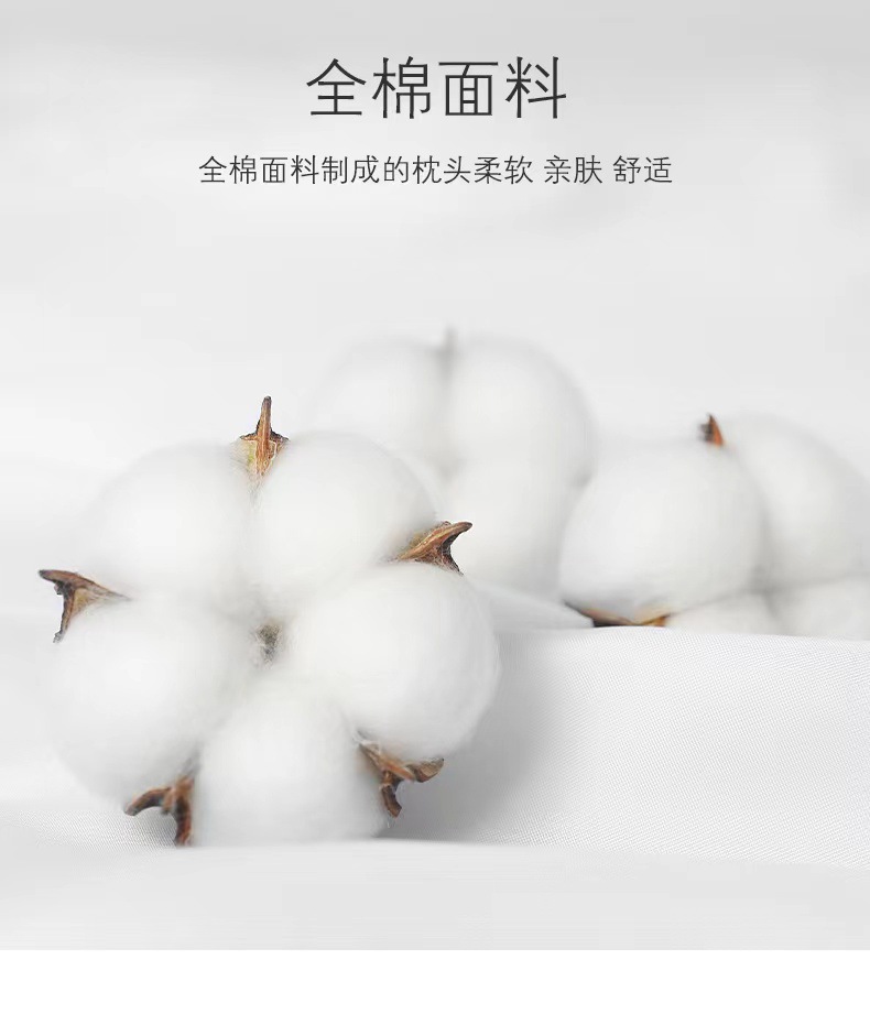 2c9664b5-2476-4ff3-aed9-4cacffbcf9e62024