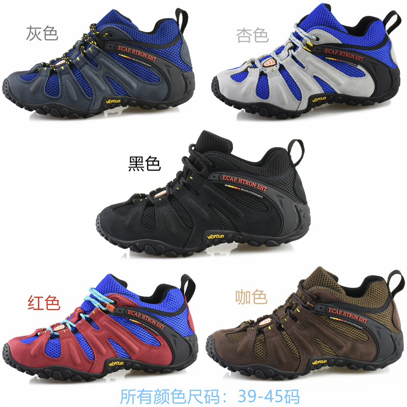 五色_副本.jpg