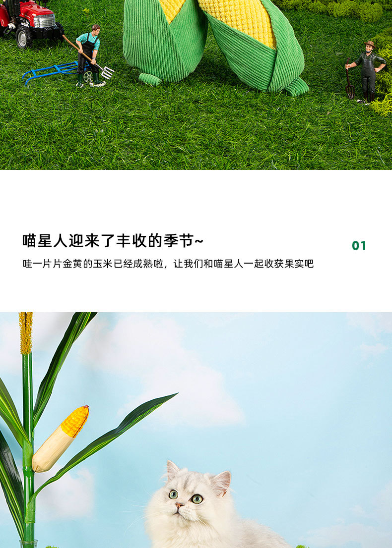 未标题-1_04.jpg