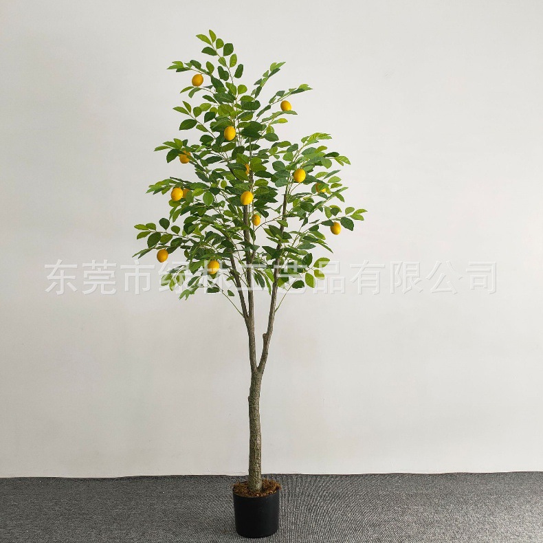 ca76084a4d07ef6aecbc5b53dfa9db